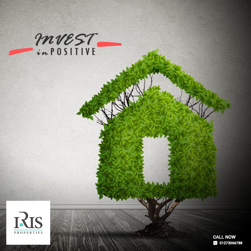 Iris Properties | Case Study