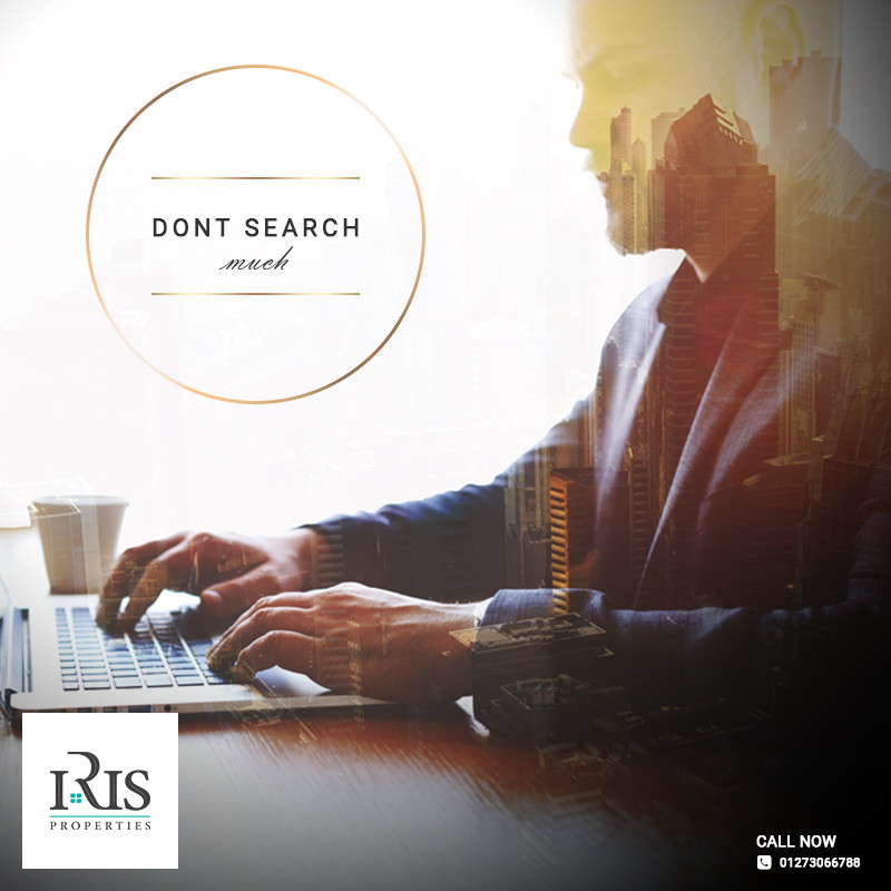 Iris Properties | Case Study