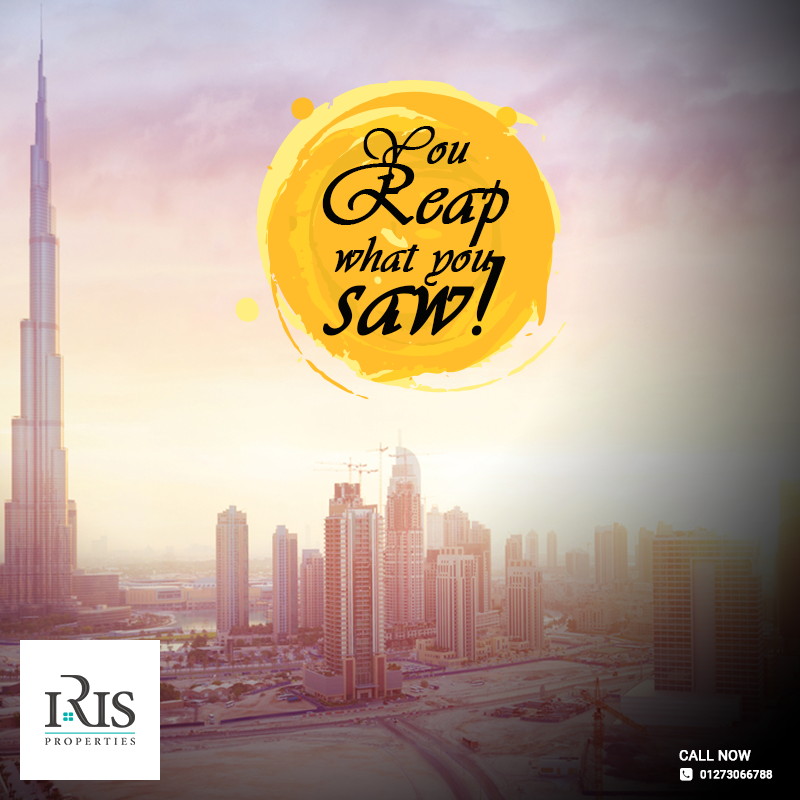 Iris Properties | Case Study