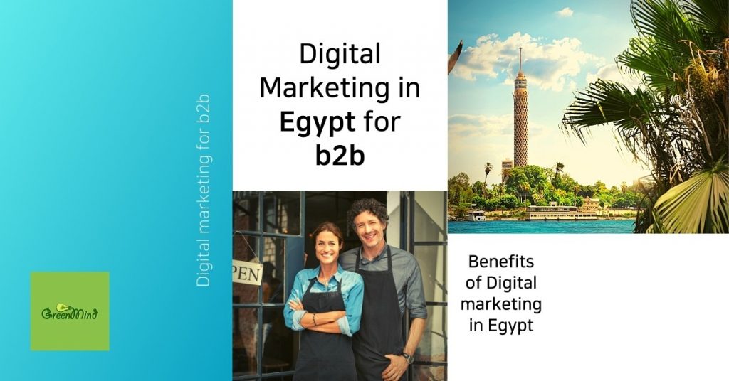 Digital Marketing for B2B in Egypt