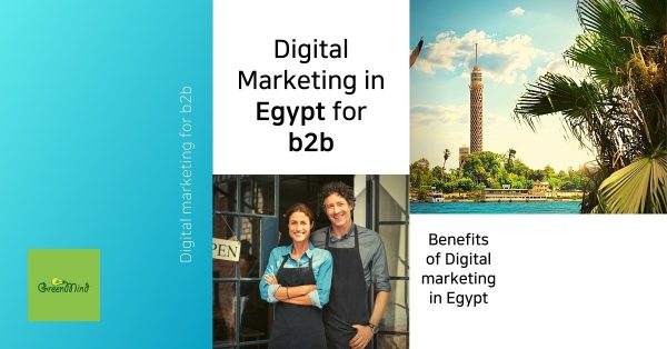 Digital Marketing for B2B in Egypt
