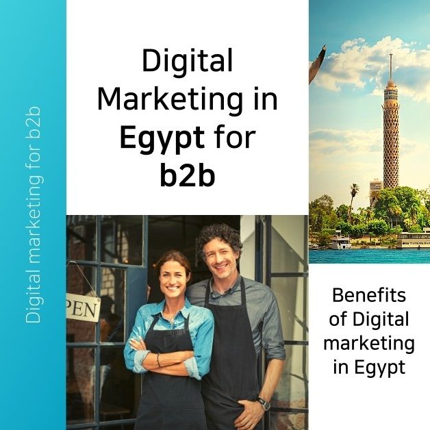 Digital Marketing for B2B in Egypt