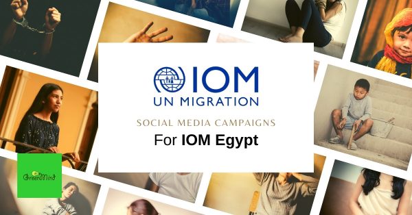 IOM Egypt | Case Study