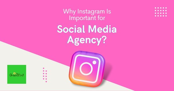 Why Instagram Is Important for Social Media Agency?
