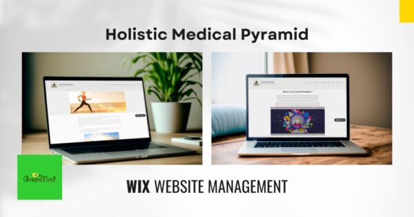 Holistic Medical Pyramid – Case Study