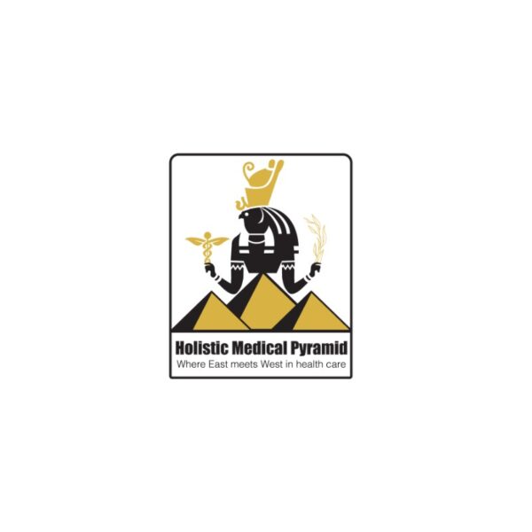 Holistic Medical Pyramid - Logo
