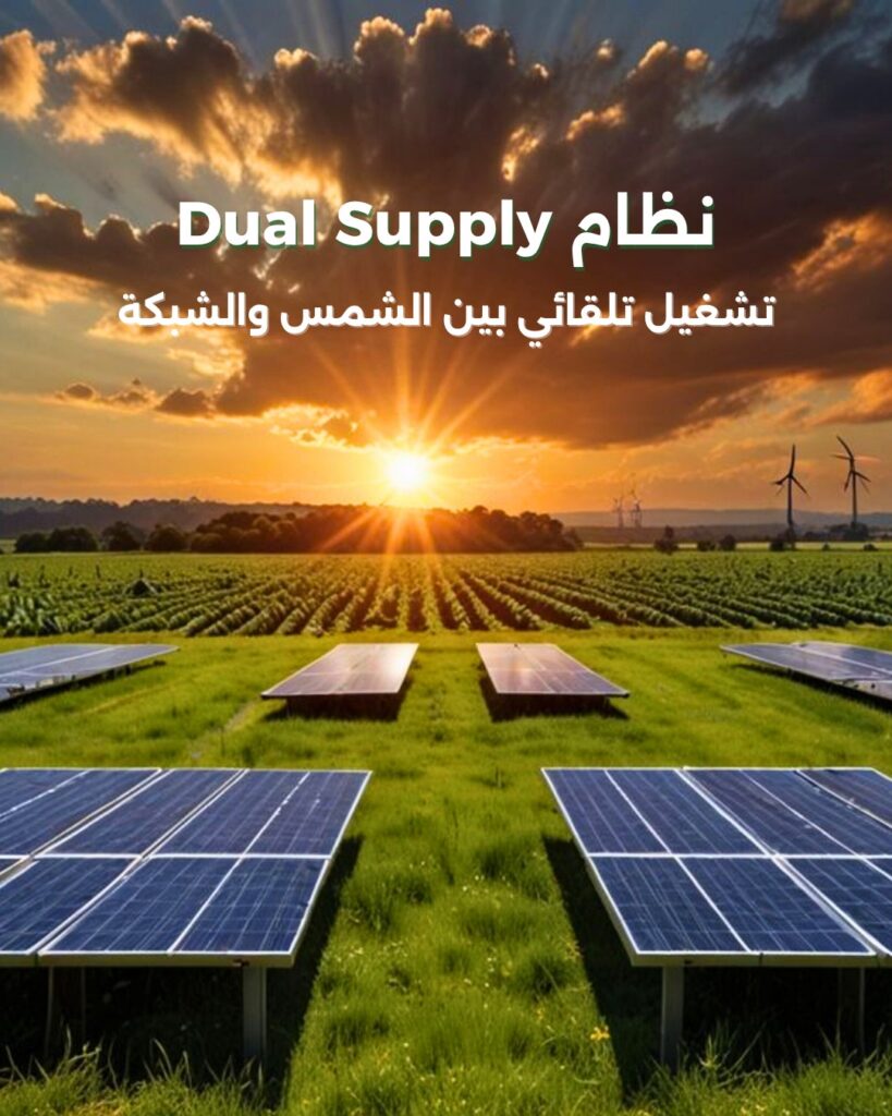 ElWaha - Social Media Content - Post1 (2)