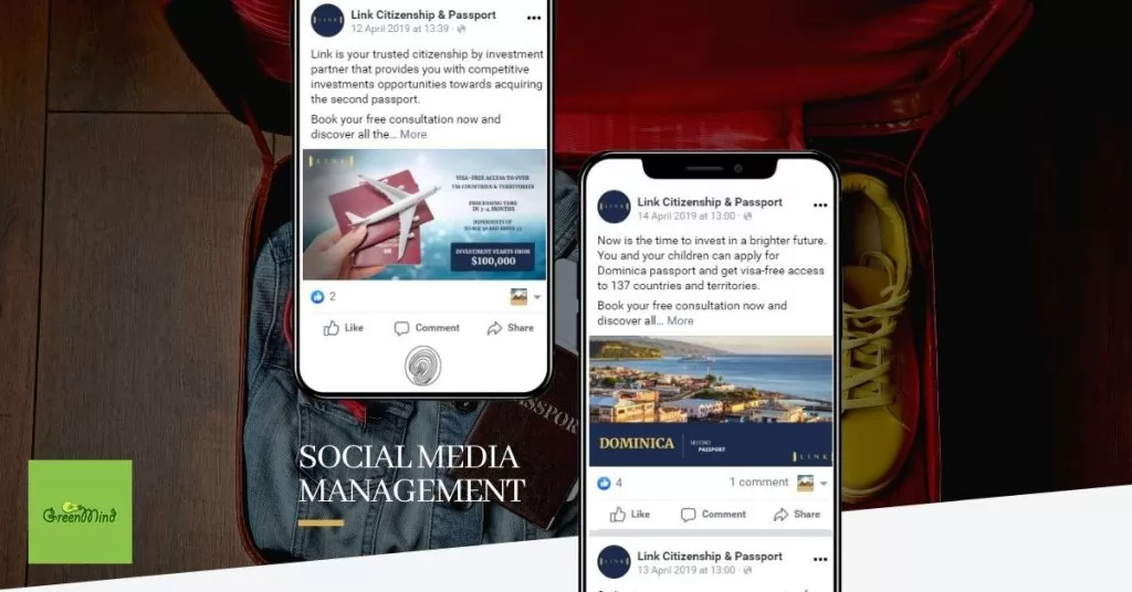 Link Citizenship | Case Study