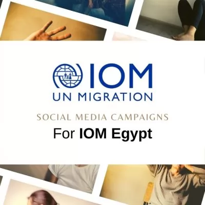 IOM Egypt | Case Study