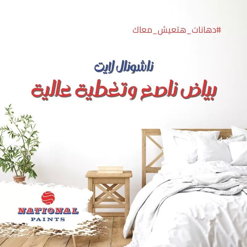 National Paints - Social Media Content