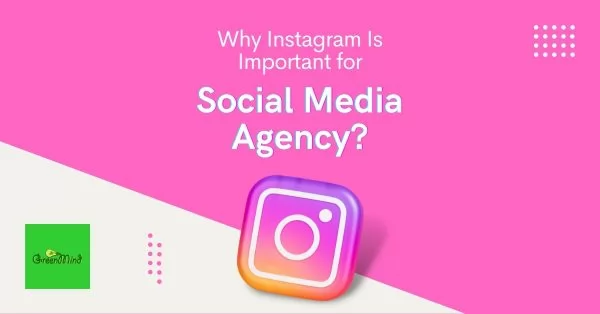 Why Instagram Is Important for Social Media Agency?
