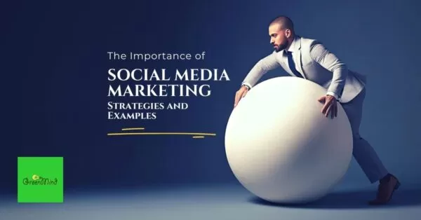 Social Media Marketing Strategy in Egypt: Importance