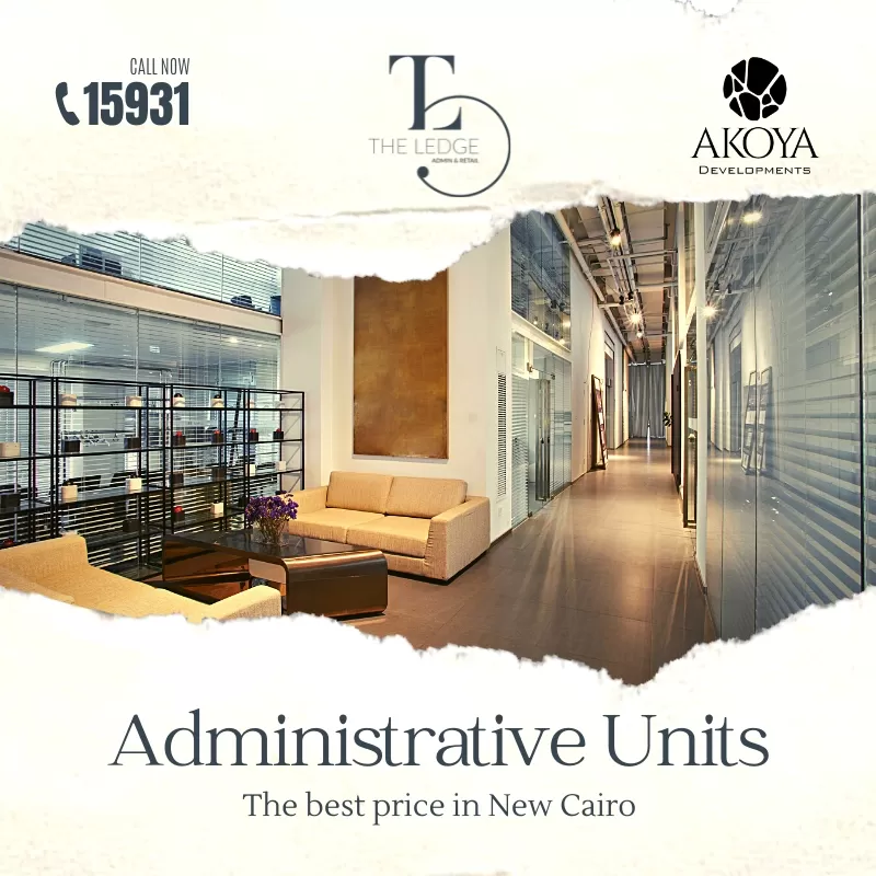 The Ledge - Case Study - Creative 29