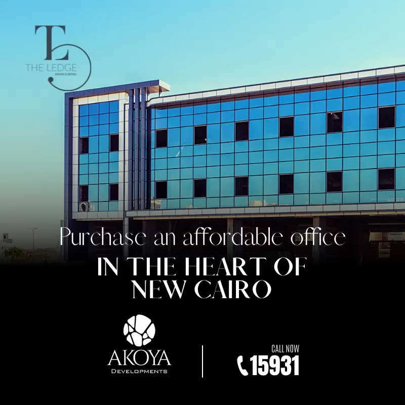 The Ledge - Case Study - Creative 33