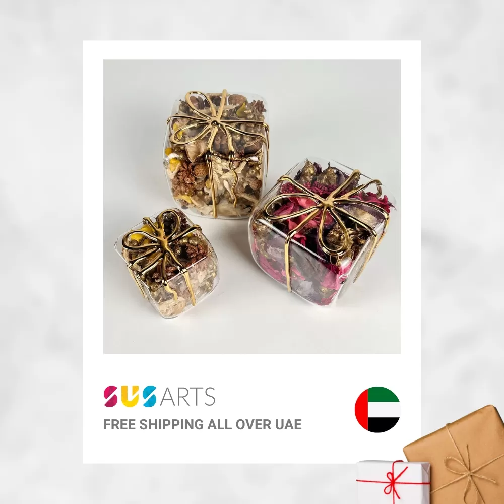 Susarts - social media content