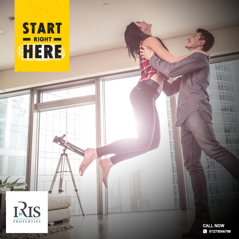Iris Properties | Case Study