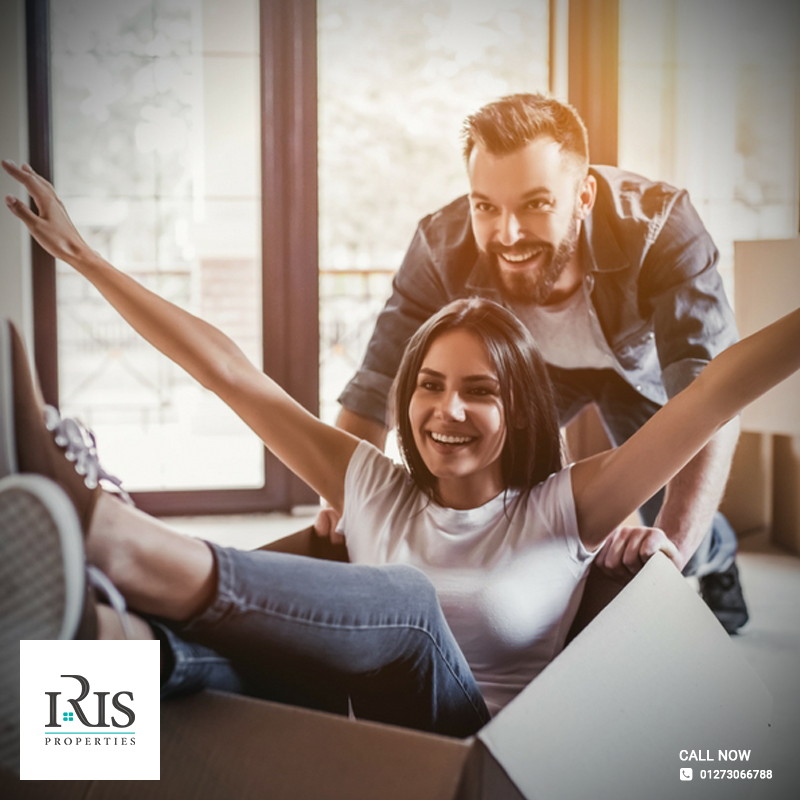 Iris Properties | Case Study