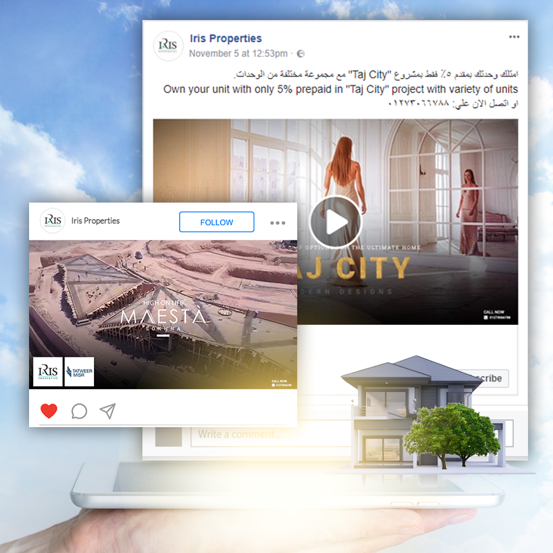 Iris Properties | Case Study