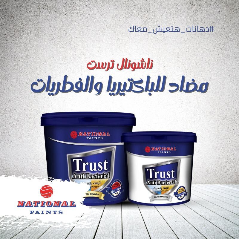 National Paints - Social Media Content