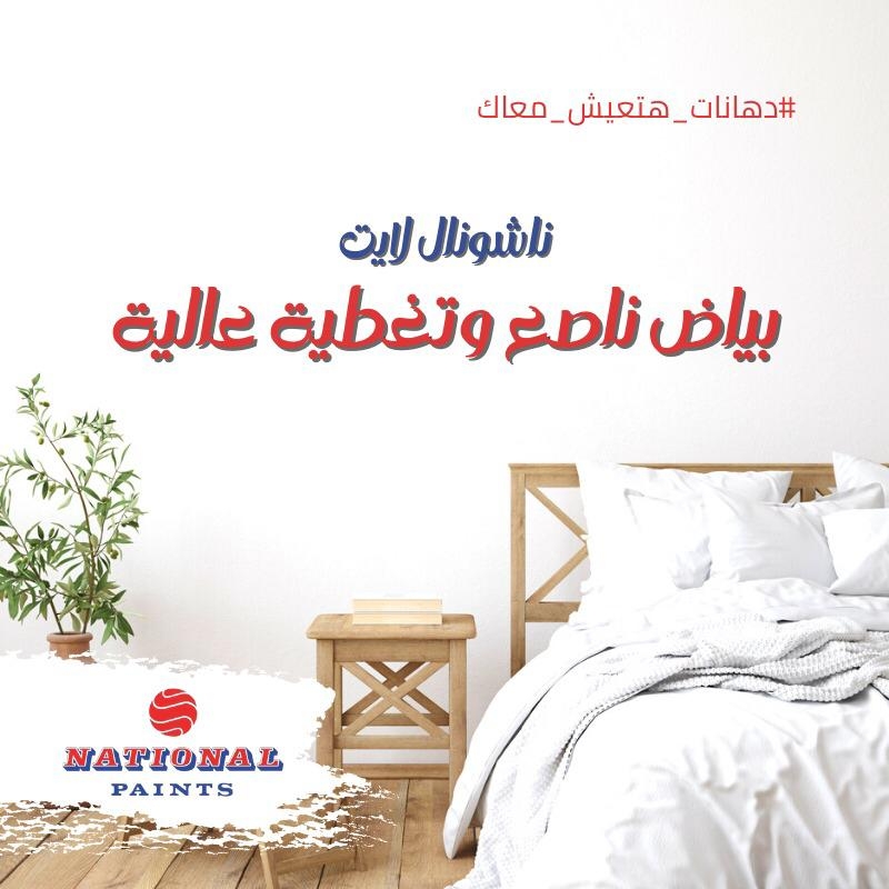 National Paints - Social Media Content