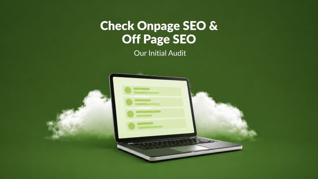 Check Onpage SEO & Off Page SEO: Our Initial Audit