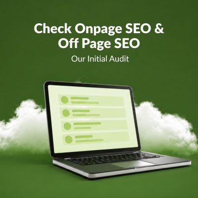 Check Onpage SEO & Off Page SEO: Our Initial Audit