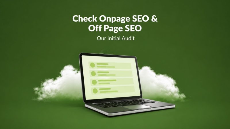 Check Onpage SEO & Off Page SEO: Our Initial Audit