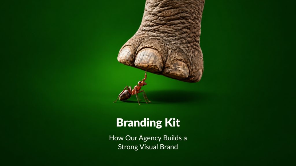 Branding Kit: How Our Agency Builds a Strong Visual Brand