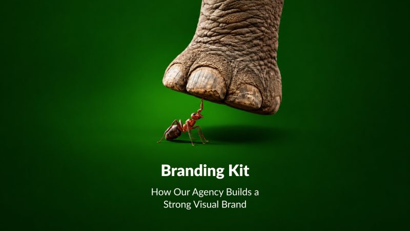 Branding Kit: How Our Agency Builds a Strong Visual Brand