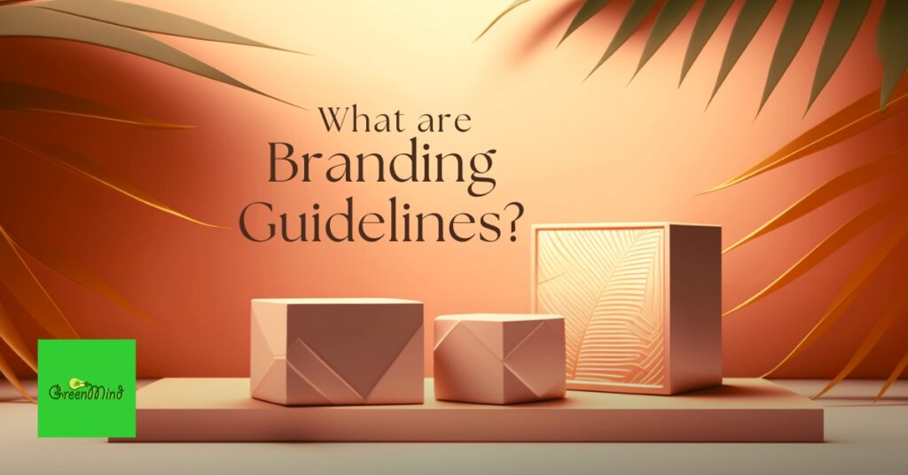 What are Branding Guidelines