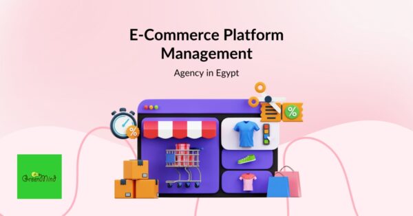 E-Commerce Platform Management Agency in Egypt