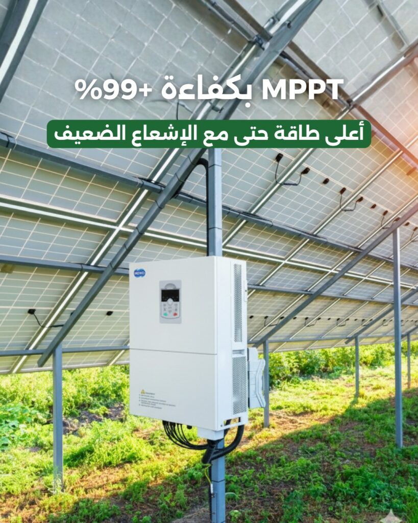 ElWaha - Social Media Content - Post1 (1)