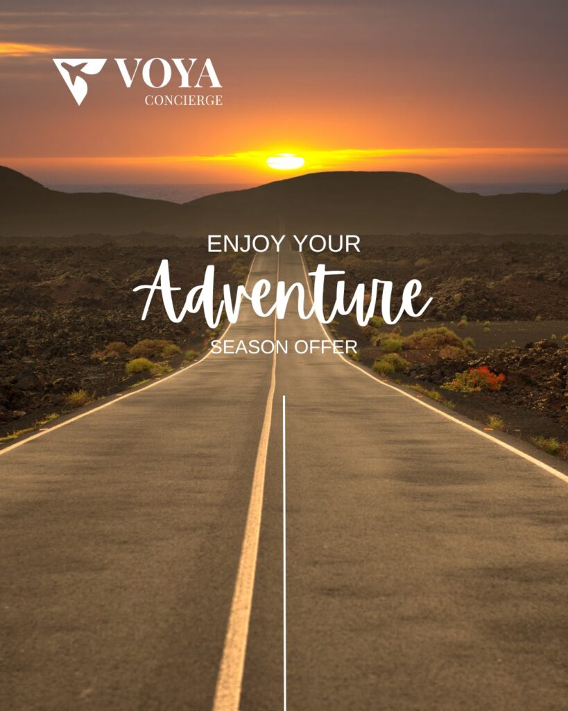 Voya Concierge - Case Study (2)