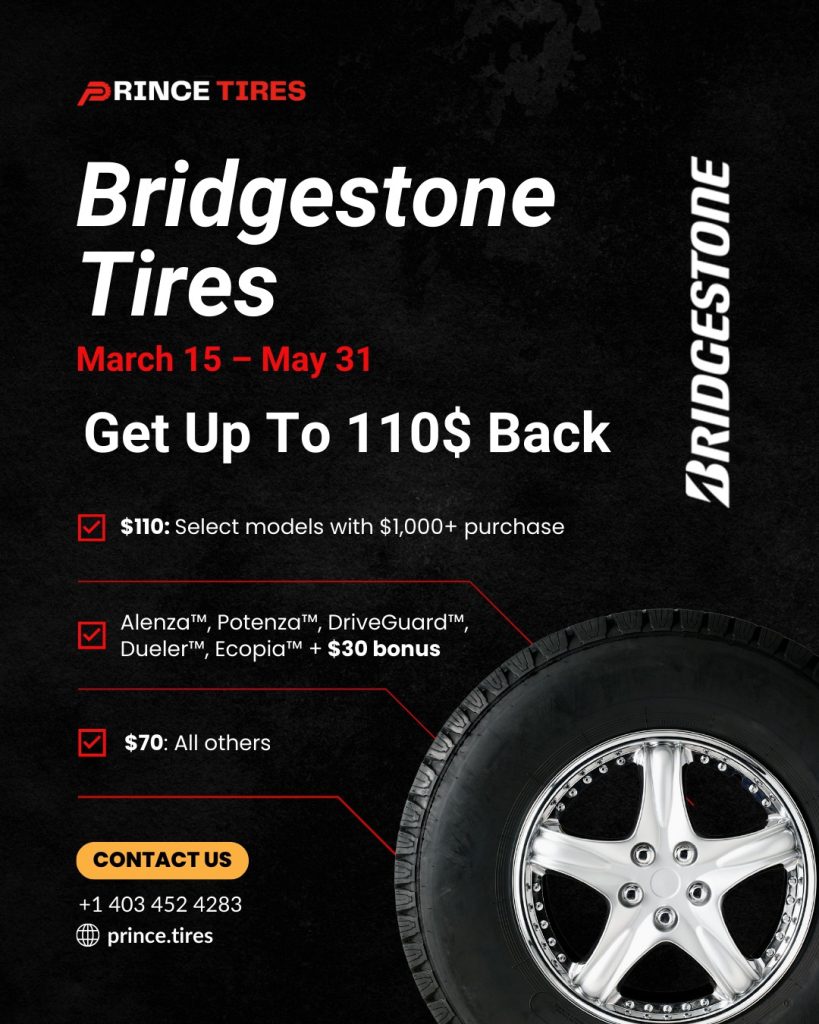 Prince Tires - Case Study (3)