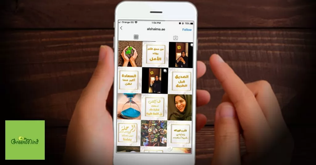 Alshaima | Case Study