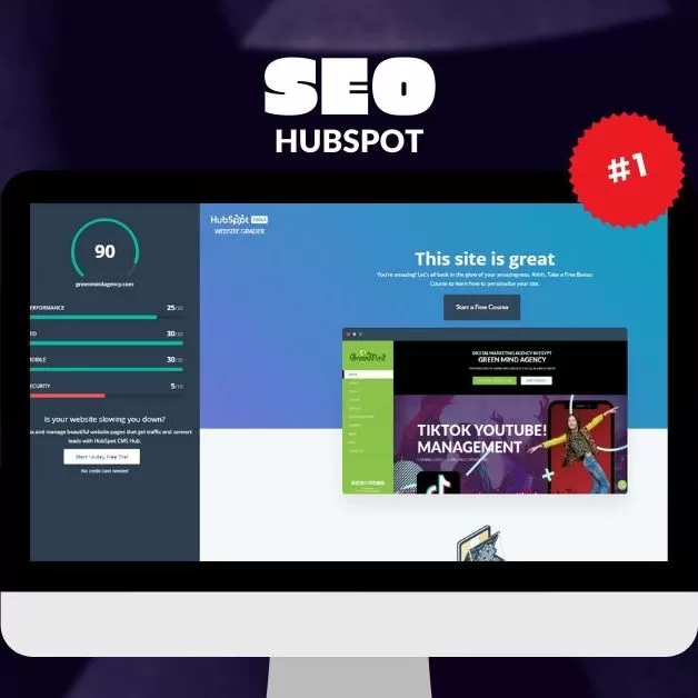 Check Onpage SEO & Off Page SEO: Our Initial Audit
