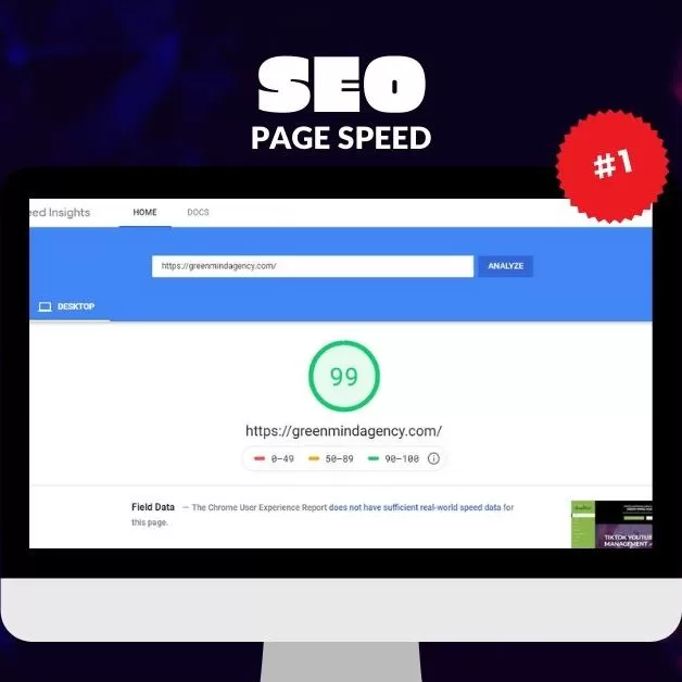 Check Onpage SEO & Off Page SEO: Our Initial Audit