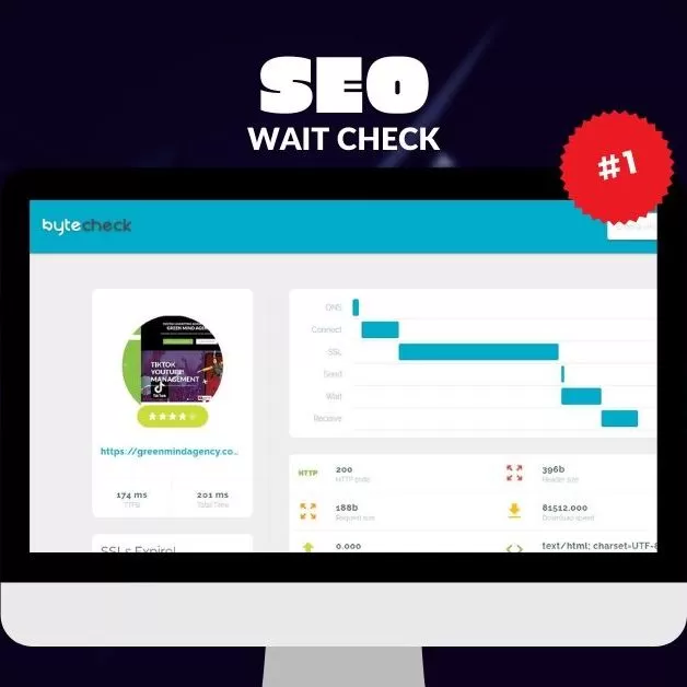 Check Onpage SEO & Off Page SEO: Our Initial Audit