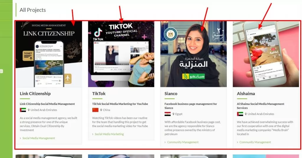 Company Experience Social-Media-Management-and-Analysis-Green-Mind