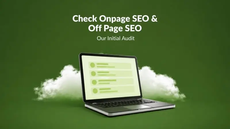 Check Onpage SEO & Off Page SEO: Our Initial Audit