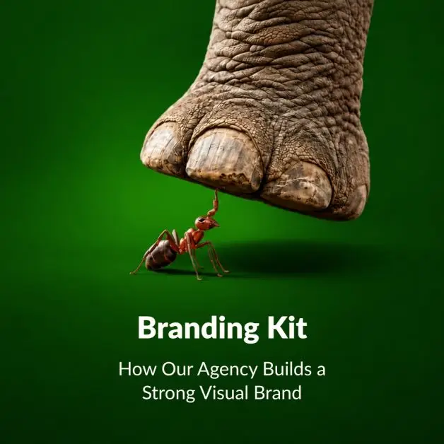 Branding Kit: How Our Agency Builds a Strong Visual Brand