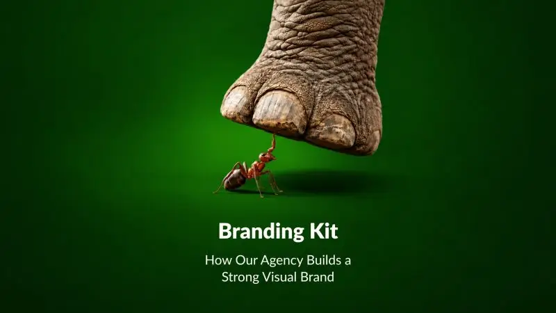 Branding Kit: How Our Agency Builds a Strong Visual Brand