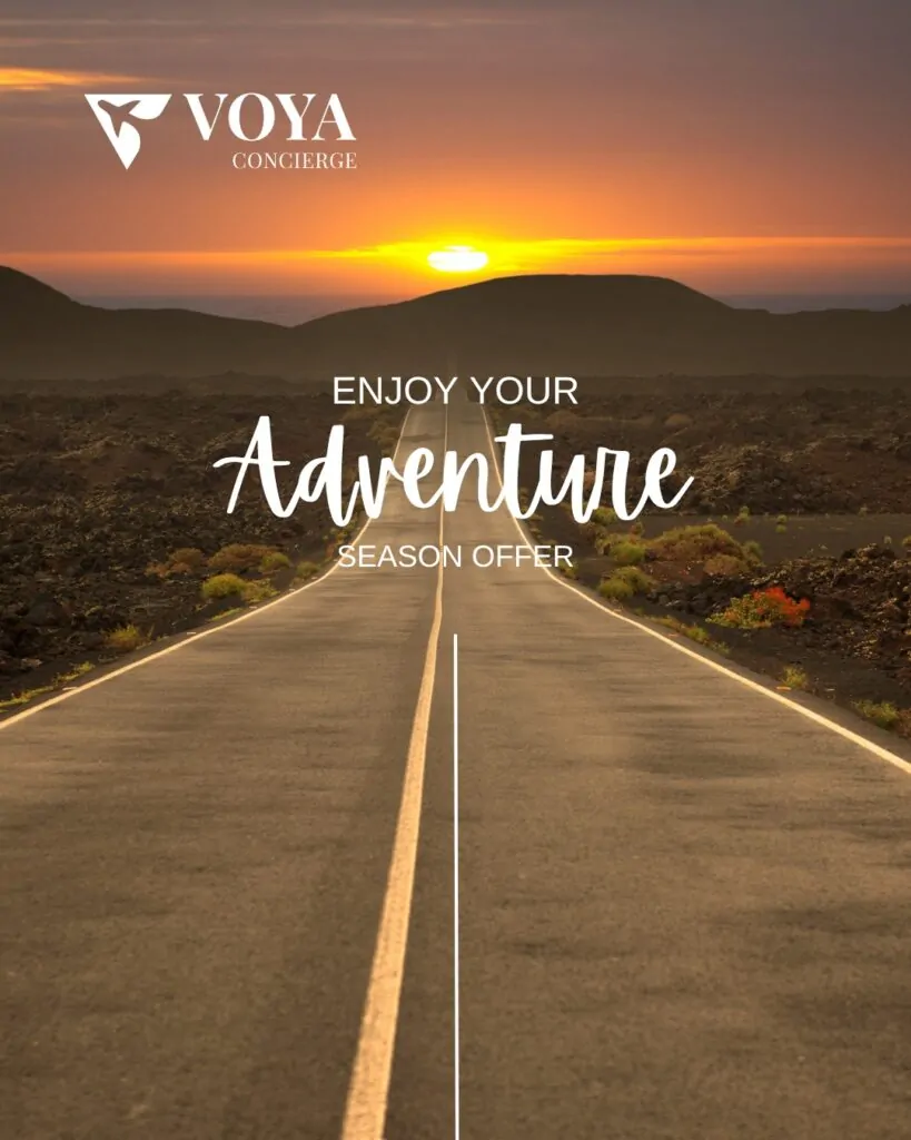 Voya Concierge - Case Study (2)